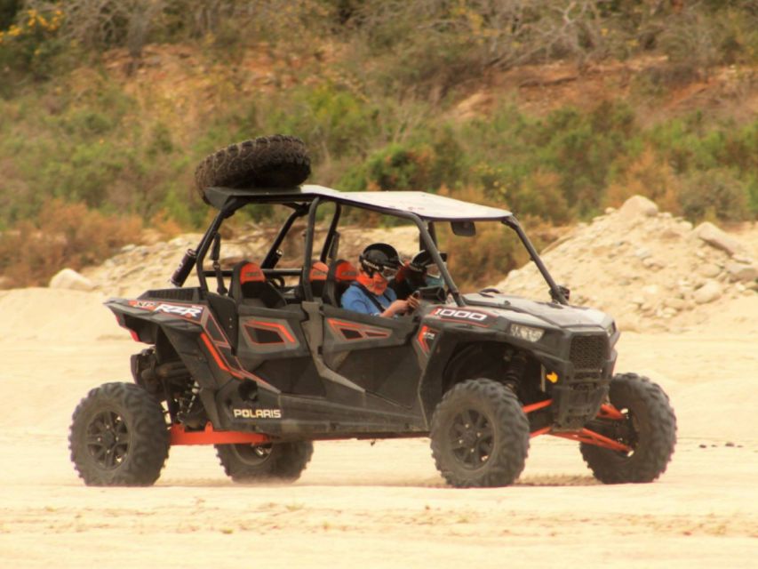 Cabo San Lucas: Migriño Beach & Desert UTV Adventure - Experience Highlights