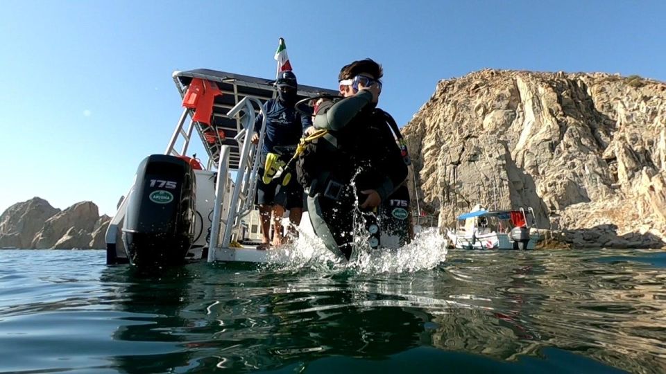 Cabo San Lucas: Scuba Diving at 2 Local Sites in Cabo Bay - Marine Life Encounters