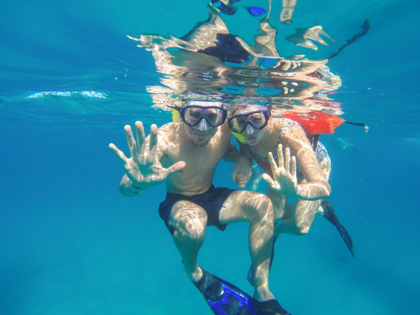 Cabo San Lucas: Snorkel Tour With Open Bar & Snacks - Experience Highlights