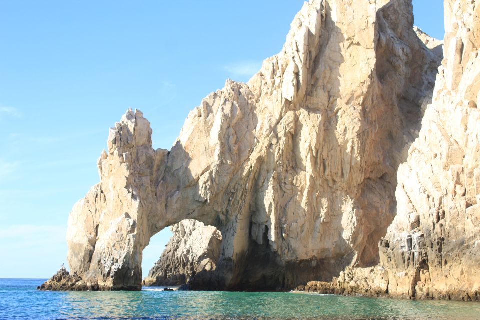 Cabo San Lucas: Up Close Whale Watching Small Group Tour - Tour Highlights