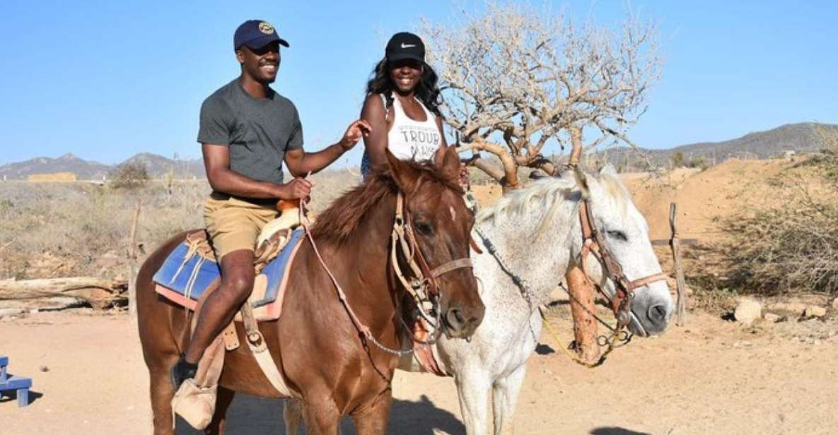 Cabo San Lucas: White Sand Horseback Adventure - Experience Highlights