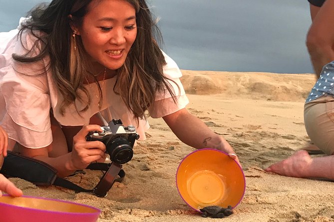 Cabo Sea Turtles Release With Marine Biologist  - Cabo San Lucas - Logistics