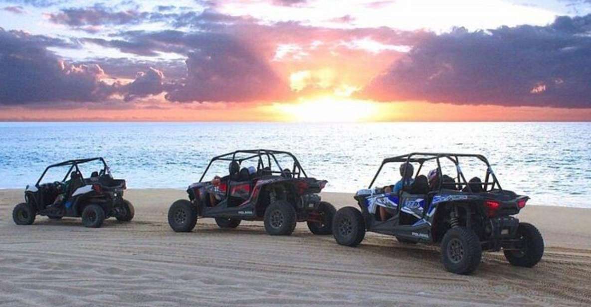 Cabo: Sunset Camel Ride and ATV Combo Adventure - Experience Highlights