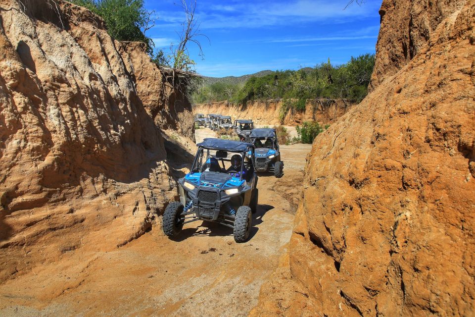 Cabo: UTV Off-Roading, Mexican Lunch, and Tequila - Tour Guide Information