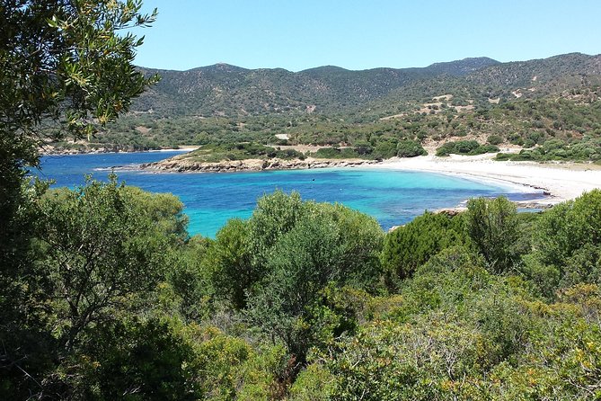 Cagliari: Amazing Jeep Private Tour of Sardinias Hidden Beaches From Chia - Language and Group Limit