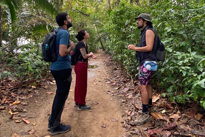 Cahuita National Park Tour and Water Experience in Puerto Viejo - Important Tour Information