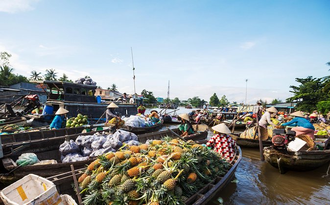 Cai Rang Floating Market & Mekong Delta Private Tour From HCM City - Pricing Details