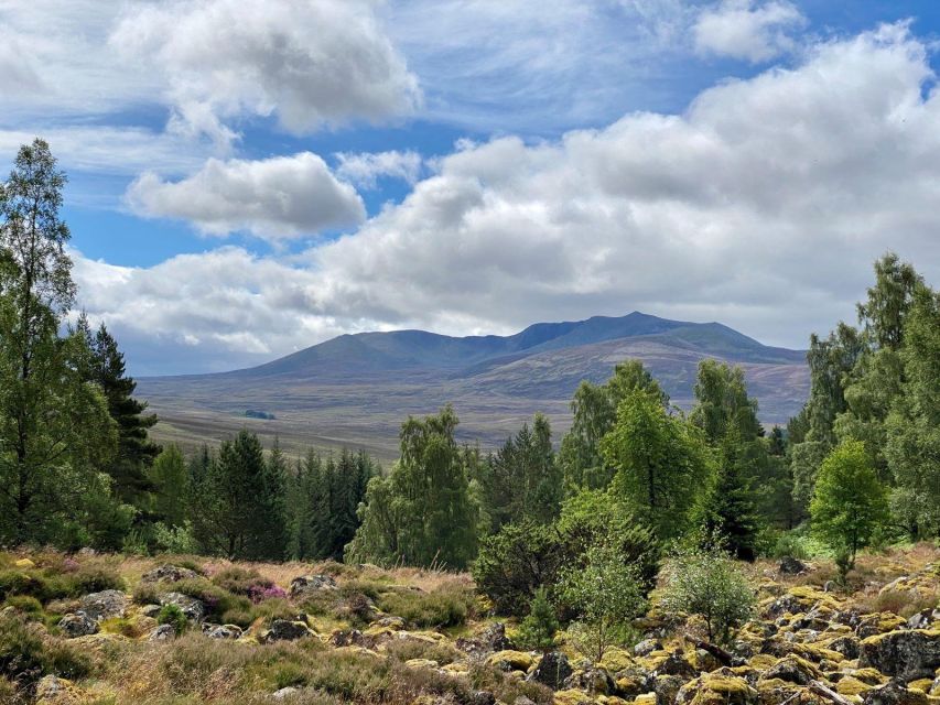 Cairngorms: Lochnagar Guided Walk - Experience Highlights of the Tour