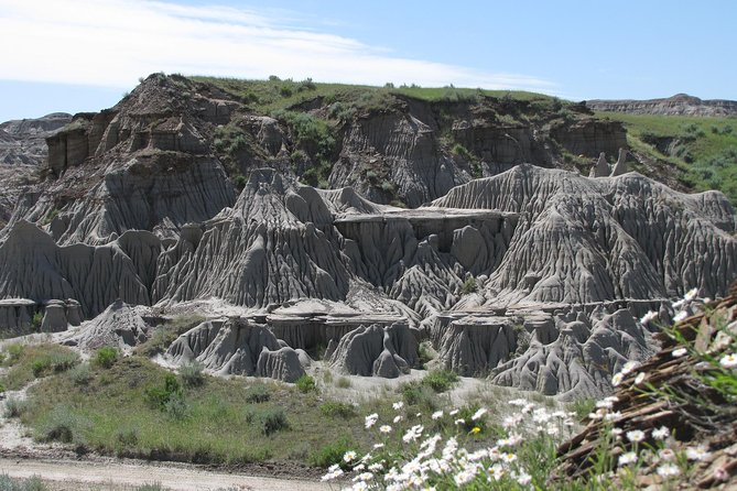 Calgary to Royal Tyrrell Museum Drumheller – PRIVATE TOUR - Customer Reviews