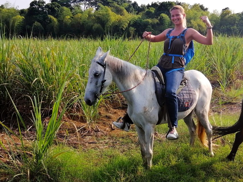 Cali: Horseback Riding - Experience Highlights