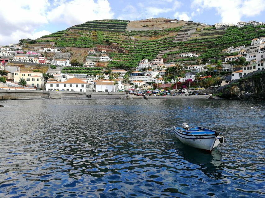 Camara De Lobos: 1.5-Hour Tour in a Tuk Tuk - Pickup Locations and Details