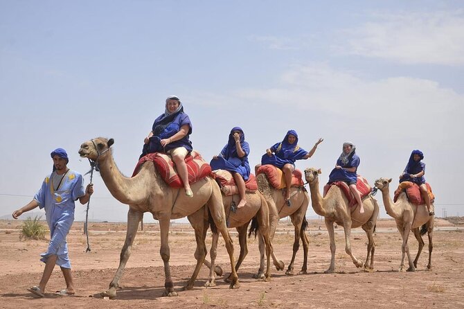 Camel in Marrakech at Sunset - Admission and Policies