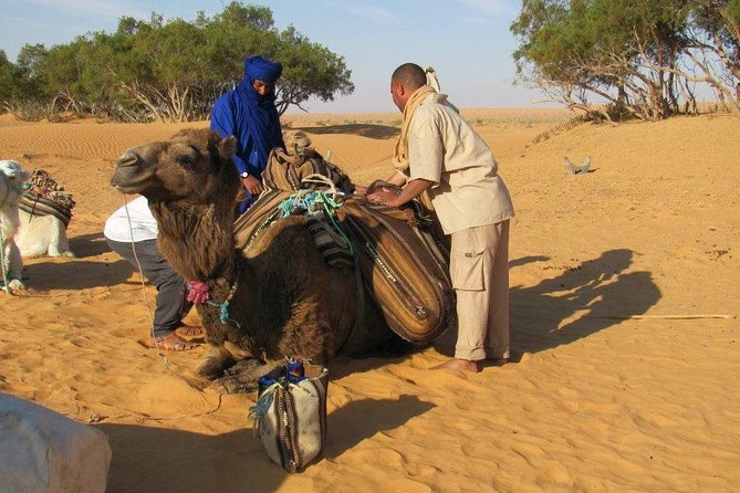 Camel Ride and 1 Night in the Desert - Cancellation Policy Information