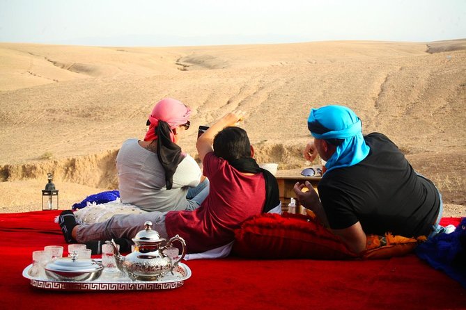 Camel Ride and Magical Dinner in Agafay Desert - Provider Information