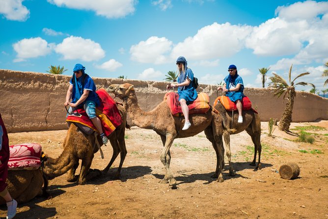 Camel Ride and Quad Biking With Fresh Mint Tea - Additional Information for Participants