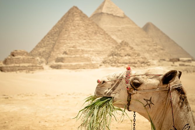 Camel Ride Around the Pyramids During Sunrise or Sunset - Additional Information