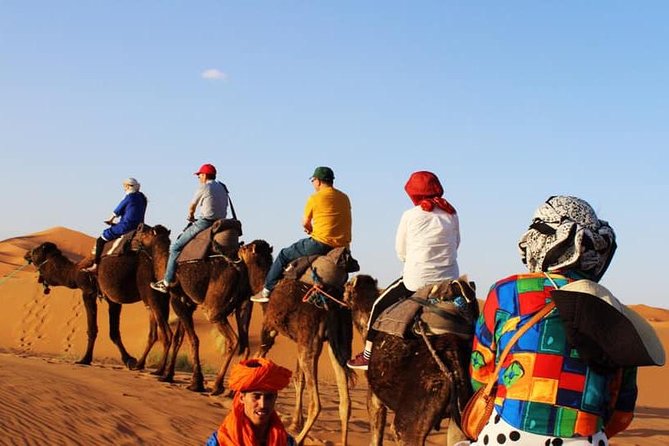 Camel Ride Experience - Participant Information