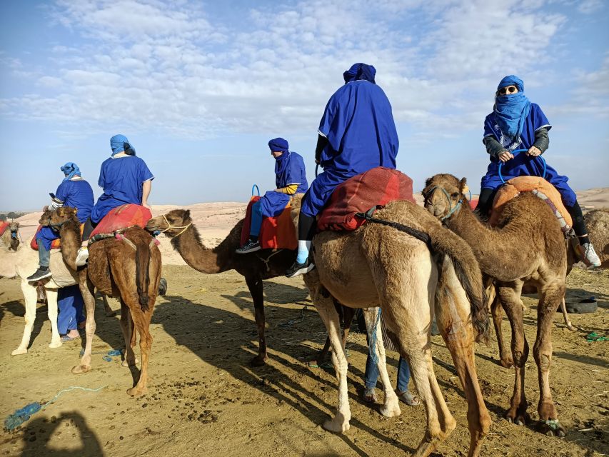 Camel Ride In Agafay Desert - Experience Highlights