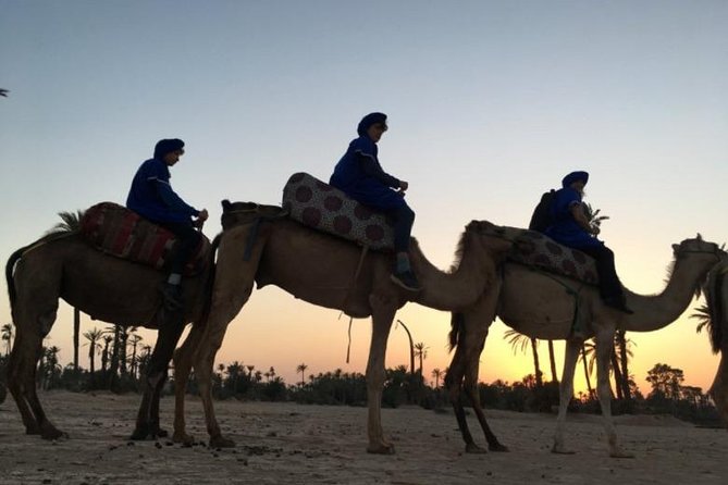 Camel Ride in Marrakech Desert Palmgrove - Authenticity Verification