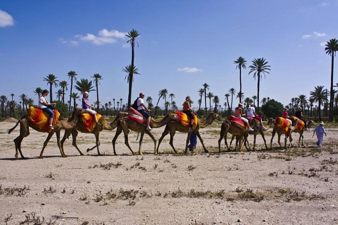 Camel Ride in Marrakech Palm Grove - Tour Duration and Inclusions