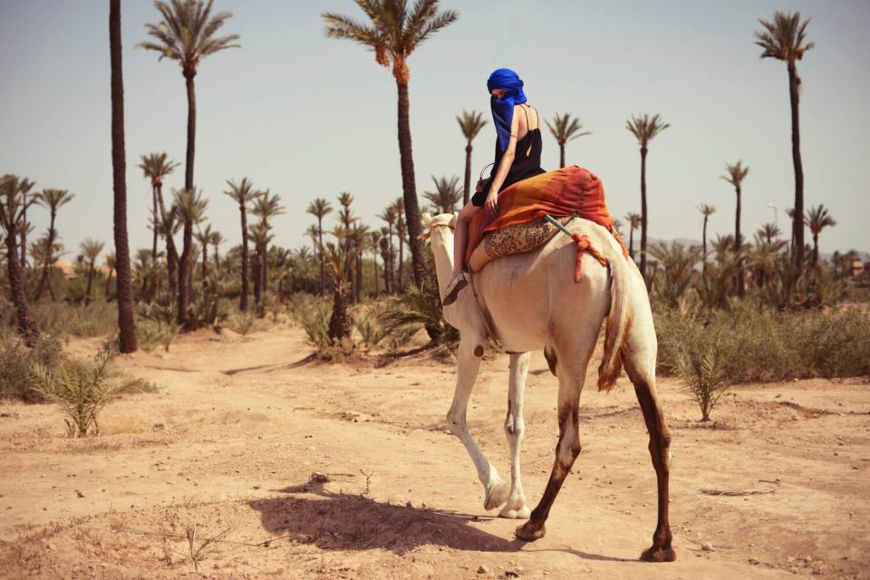 Camel Ride In Palmeraie 1 Hour, With Tea - Booking Information