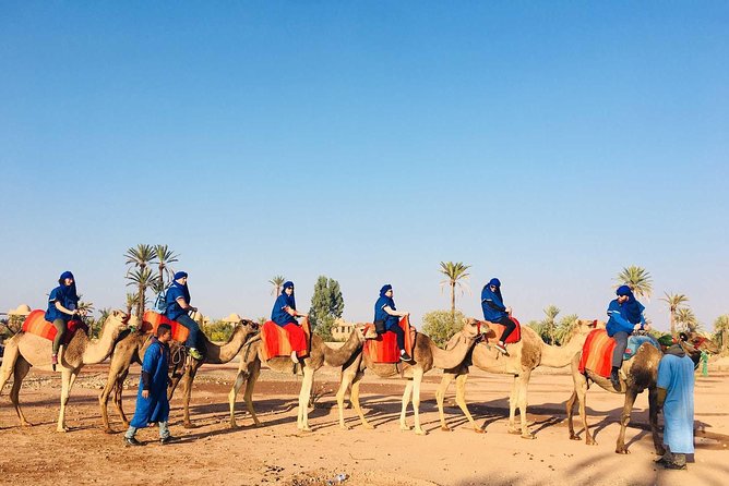 Camel Ride Marrakech - Visit a Berber Home for Tea