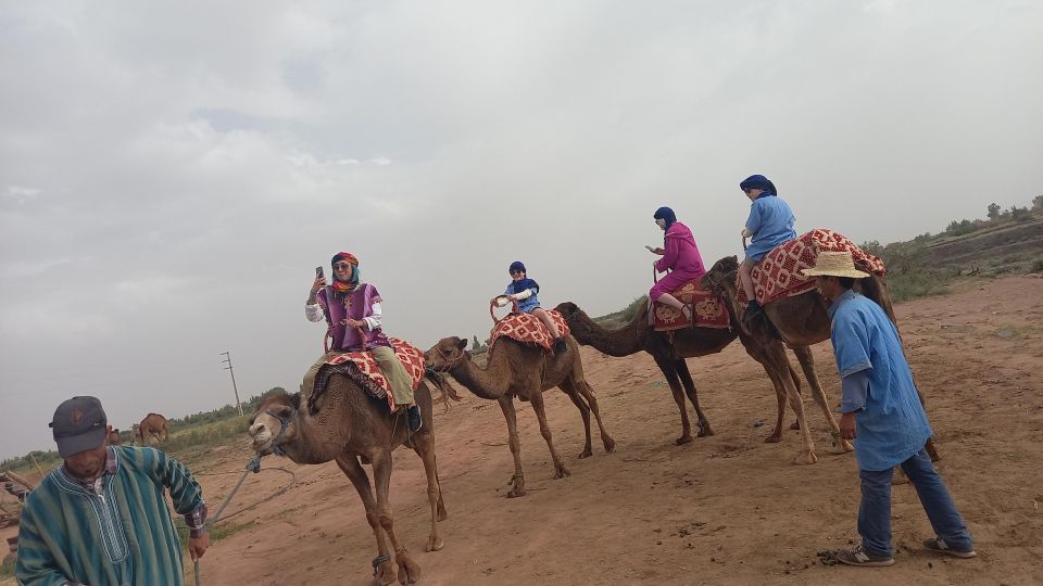 Camel Ride Sunset With Dinner, Spectacle at Agafay Desert - Booking Information