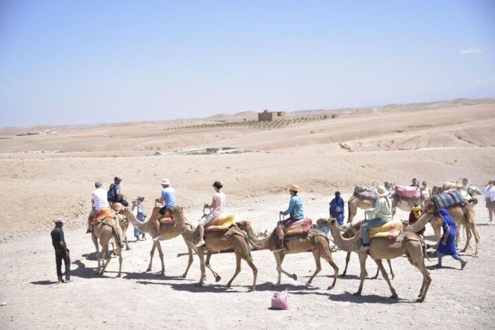 Camel Riding in Marrakech Desert, Mountain and Dinner Show - Experience Highlights