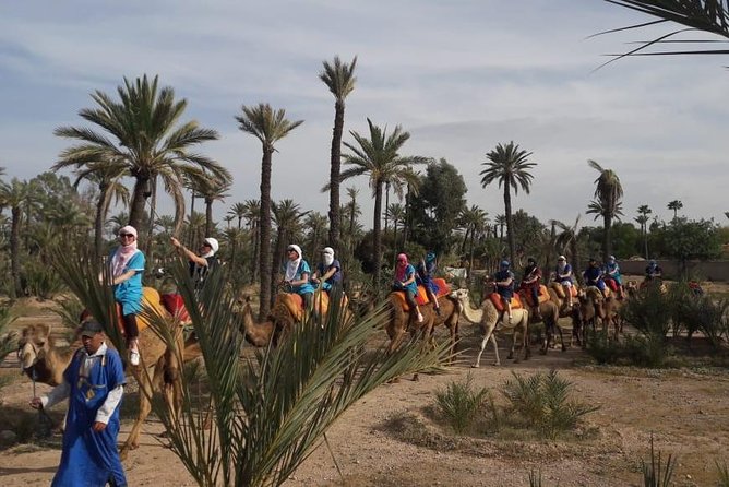 Camel Riding in Marrakech - Whats Included in the Package