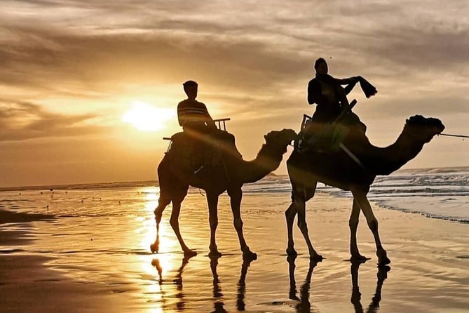 Camel Riding - Benefits of Camel Riding