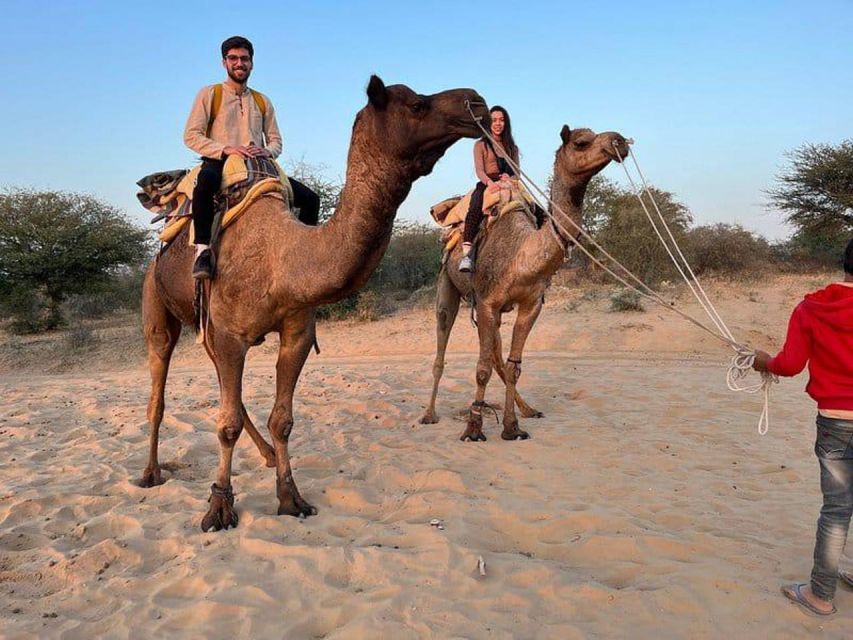 Camel Safari & Jeep Safari Private Tour From Jodhpur - Booking Information