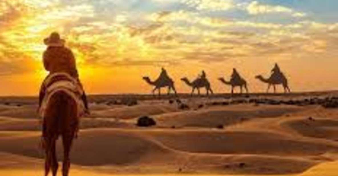 CAMEL SAFARi !n 0sian DeSERT - Explore Diverse Desert Landscapes