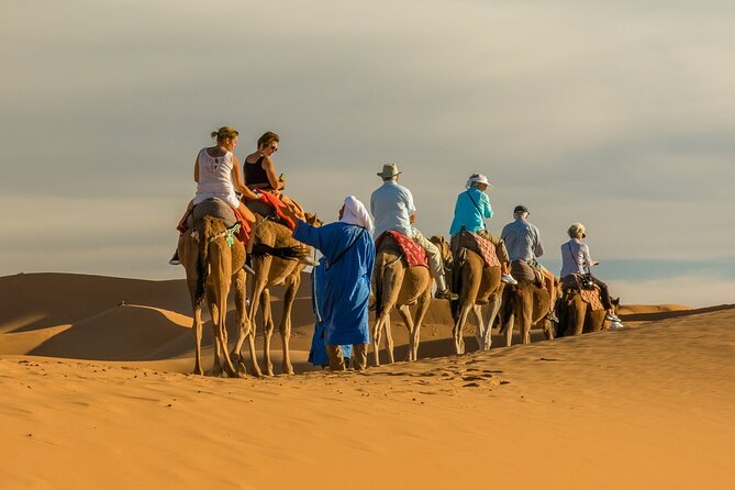 Camel Trek With 1 Night in Luxury Camp With Dinner Sundbording - Expectations and Policies