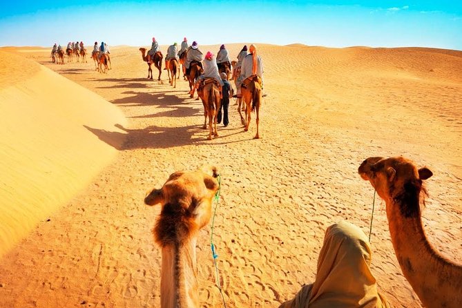 Camel Trekking Dubai With Morning Dune Bashing and Sand Boarding - Morning Dune Bashing Adventure