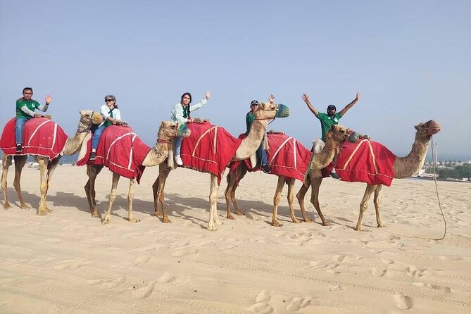 Camel Trekking on the Dunes With Sunset - Booking Information