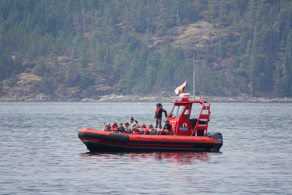 Campbell River: 6-Hour Whale Watching Boat Tour - Experience Details