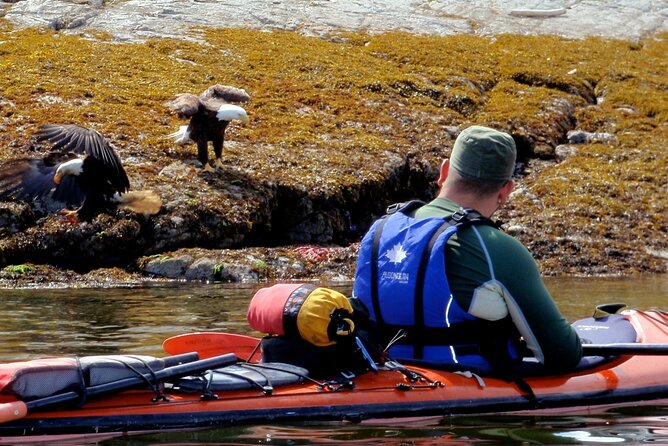 Campbell River Full Day Whale Watching and Kayaking Tour  - Vancouver Island - Tour Pricing