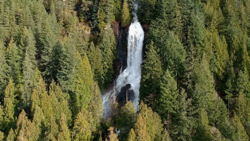 Campbell River: Waterfall and Wildlife Guided Boat Tour - Experience Highlights