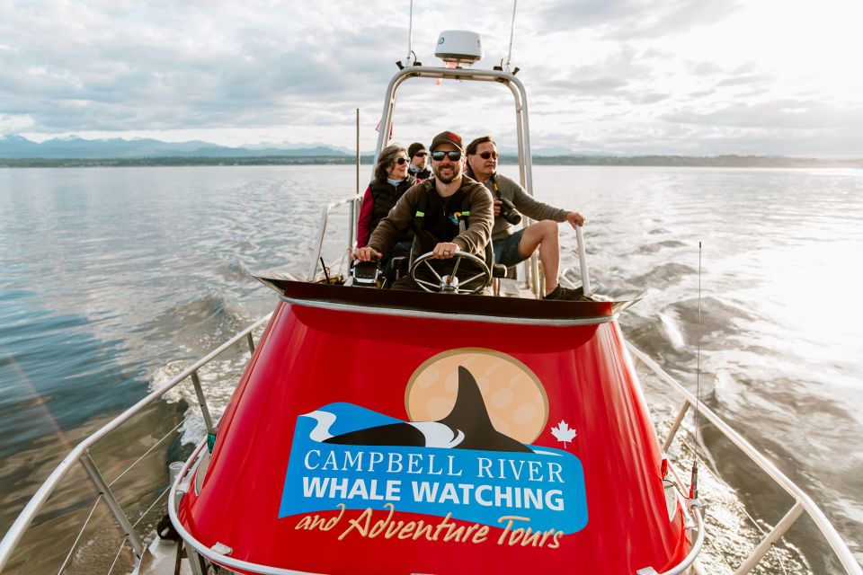 Campbell River: Whale Watching and Wildlife Viewing Day Tour - Experience Highlights