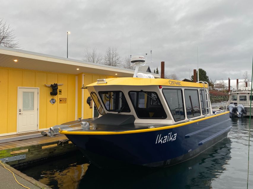 Campbell River: Whale Watching Covered Boat Tour With Lunch - Tour Experience Highlights