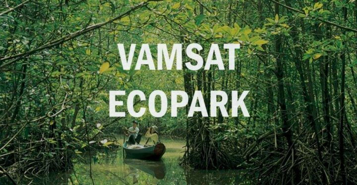 Can Gio: Discovery Vam Sat EcoPark - Can Gio Island Day Trip - Experience Highlights