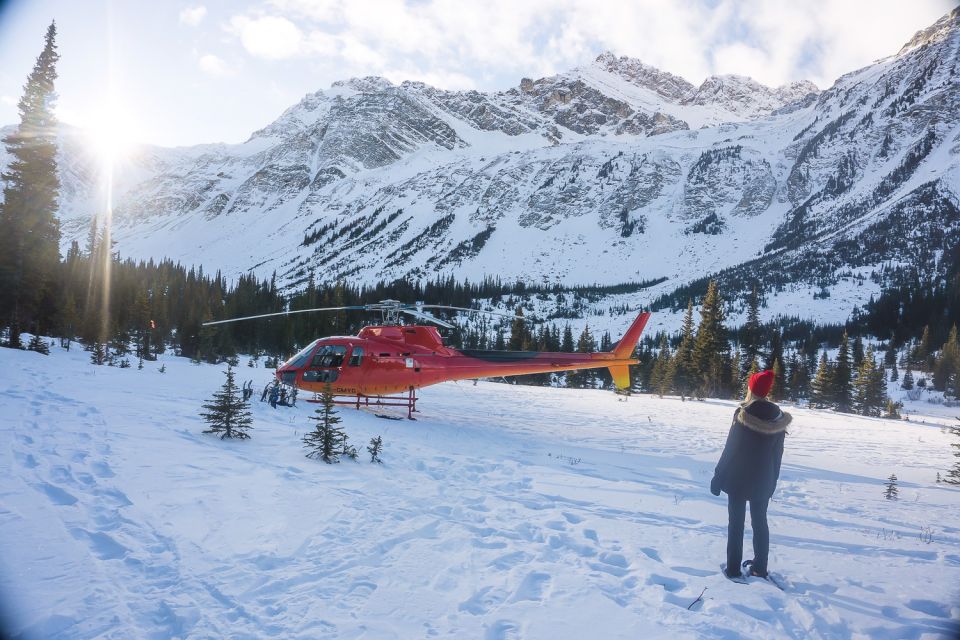 Canadian Rockies: Abraham Lake Ice Bubbles Helicopter Tour - Activity Information