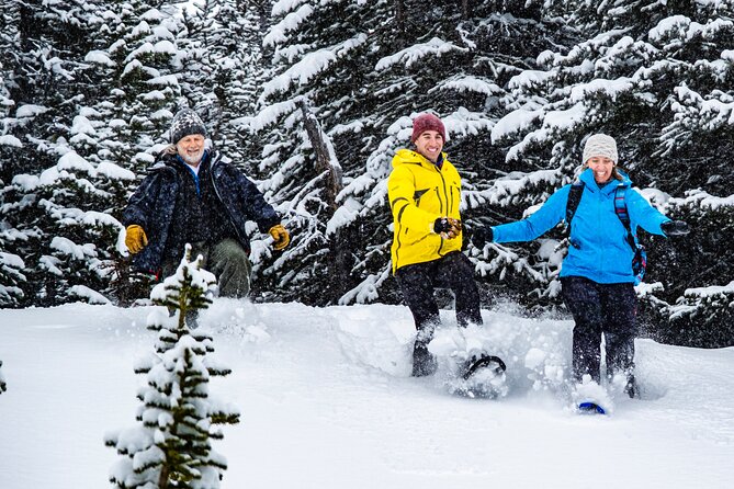 Canadian Rockies Helicopter & Snowshoe Adventure - Weather Conditions and Cancellation Policy