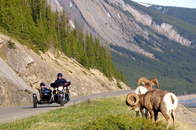 Canadian Rockies Tour by Chauffeured Sidecar From Jasper - Unforgettable Tour Experience