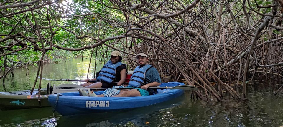 Cancun: 3-Hour Kayak Tour in Nichupte Lagoon - Tour Features