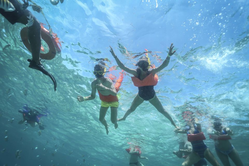 Cancun: 3-Hour Snorkel at Sunken Ship & Coral Reef - Tour Highlights