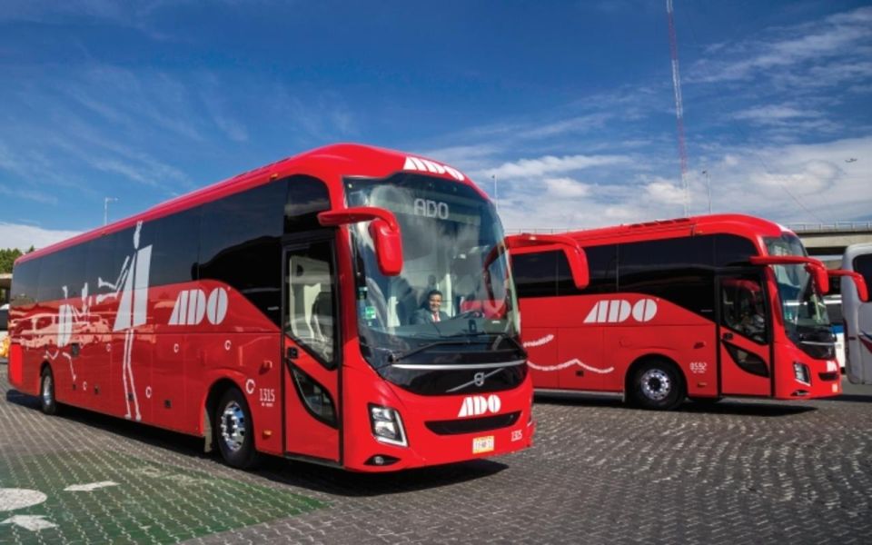 Cancun: Airport Transfer To/From Downtown by Bus - Modern Amenities and Comfort