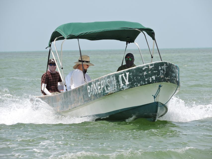 Cancun: Barracuda Fishing Experience - Experience Overview