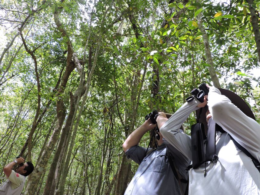 Cancún: Guided Birdwatching Hike - Experience