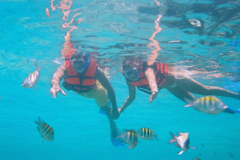 Cancun: Isla Mujeres 12 Pm Catamaran Tour With Snorkeling - Transportation Options